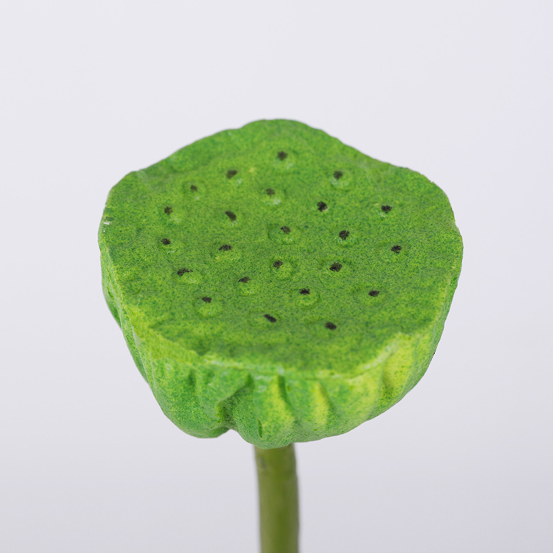Baccello di loto verde A