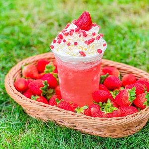 Bình tạo bọt kem CreamJet EU Stock 640g, bình khí tạo bọt kem 0.95l, dụng cụ làm bánh kem - Product Image 6