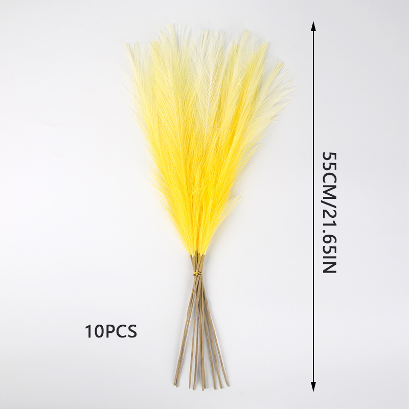 Herbe jaune et blanche de la pampa 10pcs