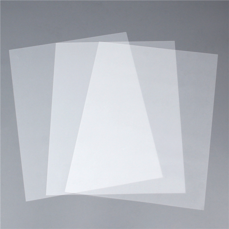 Pellicola PET A4 100 pz