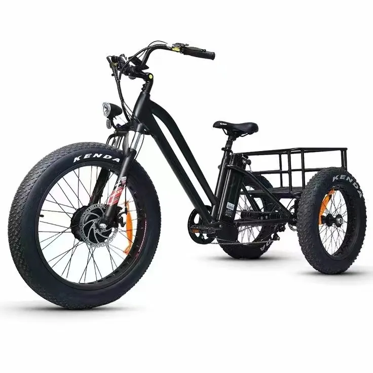 Triciclo elétrico de carga 48V350W 13ah, venda direta da fábrica, triciclo ebike de três rodas com pneu grosso de neve de 20 polegadas