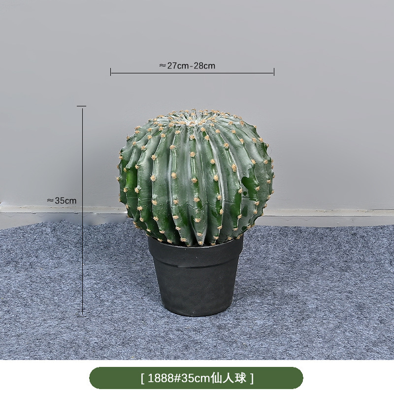 1888 #35cm cactus