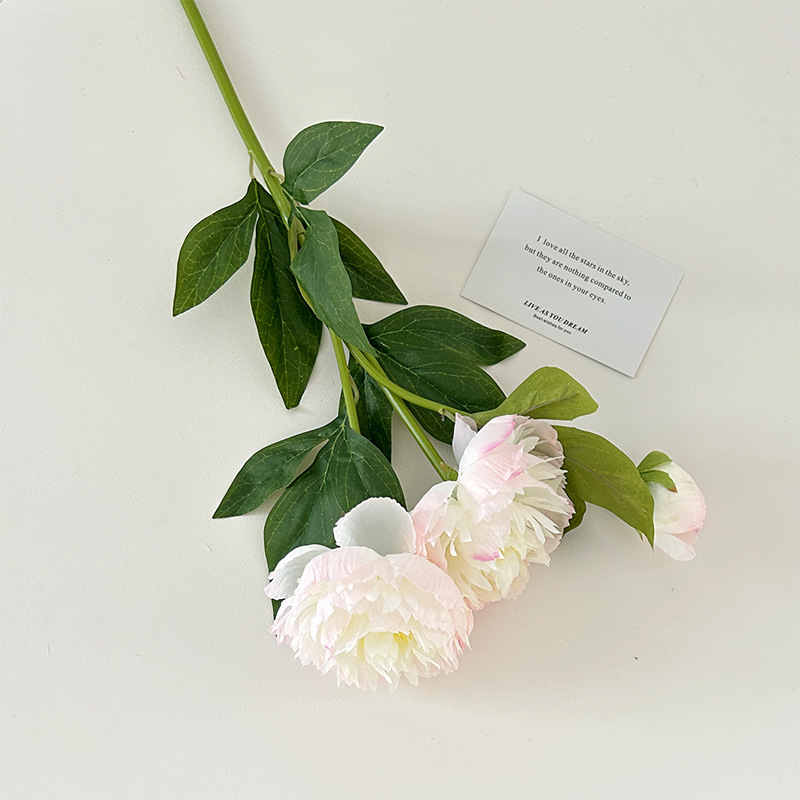 White pink