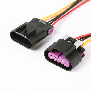 Conector de coche a prueba de agua Delphi, bomba de aceite doméstica, arnés, enchufe 2P 3P 4P 8P - Product Image 5