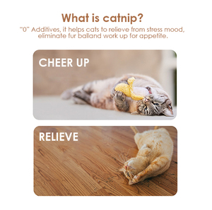 OEM ODM Custom logo Herbal Fresh <strong>Catnip</strong> Leaf in Bottle Herb Leaves Dried Cut Cat Mint <strong>Catnip</strong> for Cats - Product Image 5