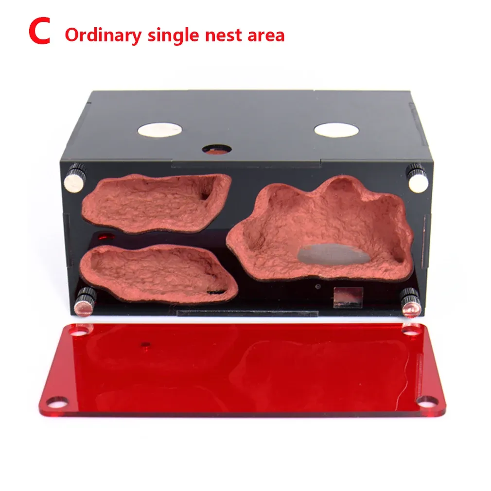 black-C style nest(red)