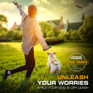 2025 संस्करण रिचार्जेबल डॉग प्रशिक्षण कॉलर 123 स्तर 1100yd रेंज वाटरप्रूफ रिमोट कंट्रोल छाल नियंत्रण छाल नियंत्रण छाल नियंत्रण - Product Image 3