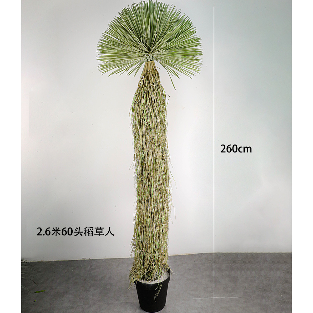 260 cm