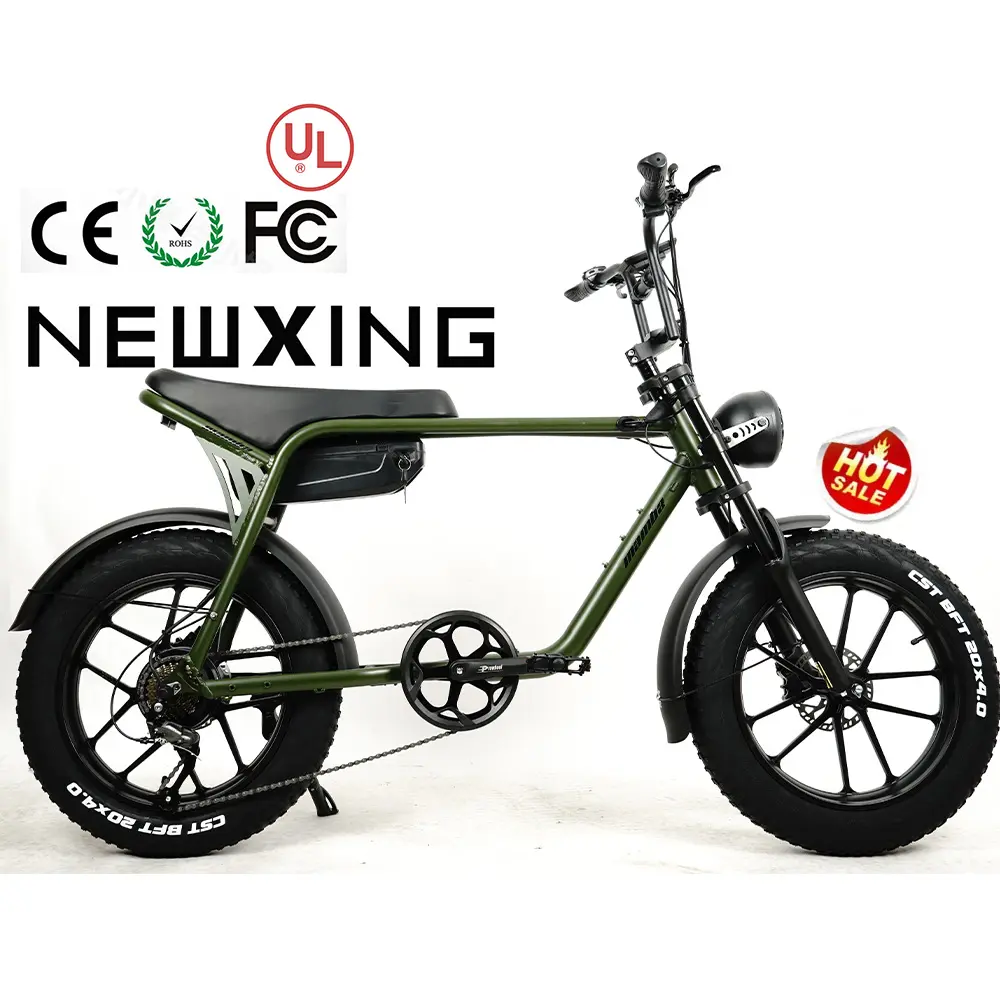 NEWXING NK20 전자 자전거 산악 도로 ebike 20 인치 알루미늄 합금 프레임 지방 타이어 스포츠 ebike 슈퍼 전자 자전거 73