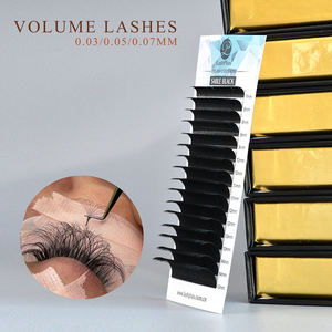 LashPlus toptan kirpik uzatma 0.05mm rus hacimli kirpikler 0.03 0.07 sahte vizon kolay fanlar çiçeklenme kirpik C D - Product Image 2