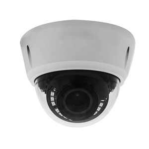 Reconocimiento facial AI 10X zoom óptico 2MP cámara IP PTZ con alarma y salida de entrada de audio, almacenamiento de tarjeta 128G TF (tarjeta micro-sd)