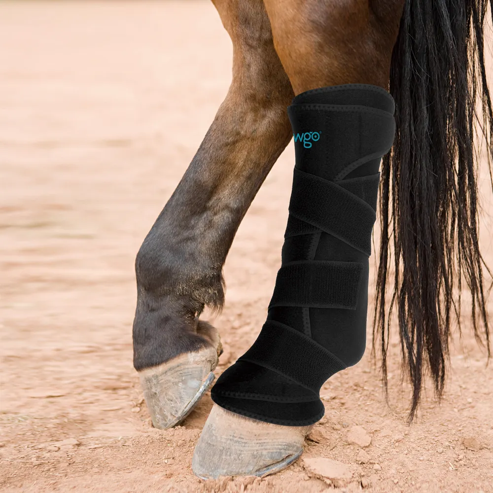 Thérapie de refroidissement Ice genou/Hock botte enveloppante pour jambe de cheval Tendon genou Hock