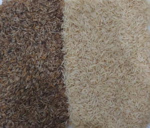 CCD Rice Color Sorter Rice Color Sorter <strong>Machine</strong> Grain <strong>Sorting</strong> <strong>Machine</strong> for Grain Processing and Rice Milling Plant - Product Image 6