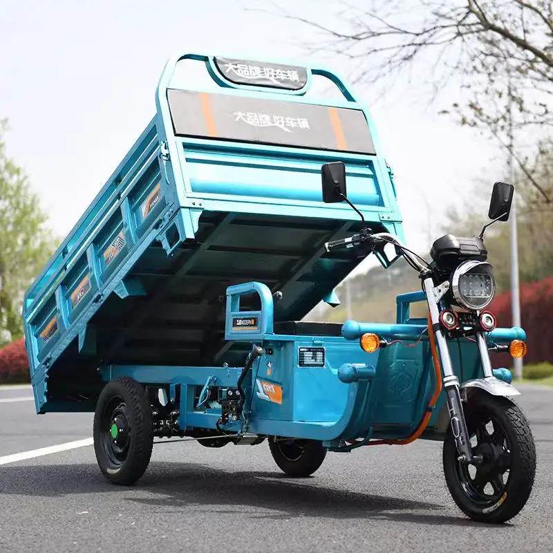 Populaire de haute qualité 60V 30AH 45AH 52AH 1000W trois roues tricycle électrique cargo tricycle électrique cargo tricycle pour adulte