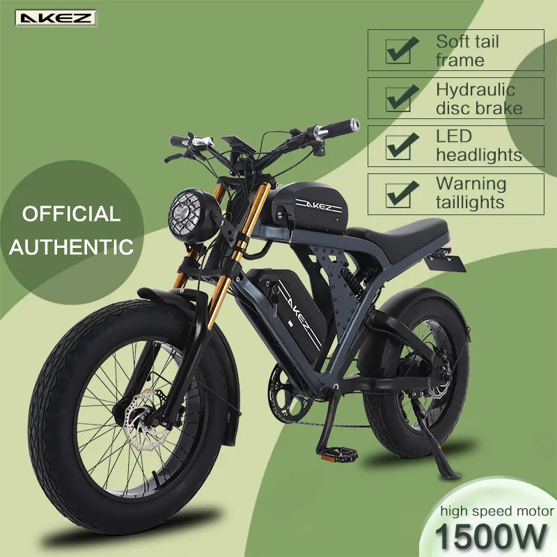 Vente en gros 100km Ebike Gros Pneu Vélo Électrique 1500W 48V Haute Vitesse 20 Pouces Vélo Électrique Dirt pour Adultes