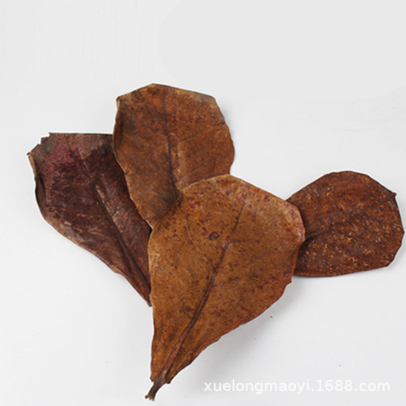 Lanren Leaf (50 pieces)