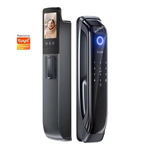Alta sicurezza grande codice cancello telecomando Tuya Wifi APP blocco automatico sistema di blocco impronta digitale Smart Lock