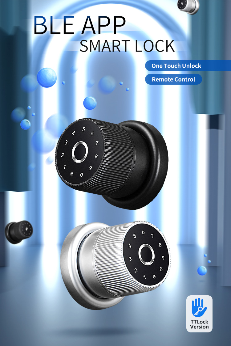 Luxury TTlock APP Digital Door Knob Rfid Card Key Digit Fingerprint Smart Lock