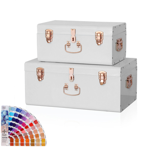 Depolama gövde seti 2 demir kaplama Metal gövde organizasyon ve dekoratif - Product Image 2