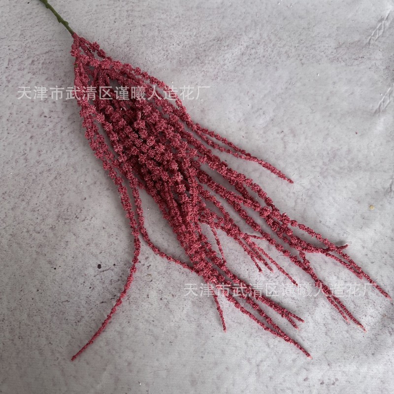 Riz rouge suspendu