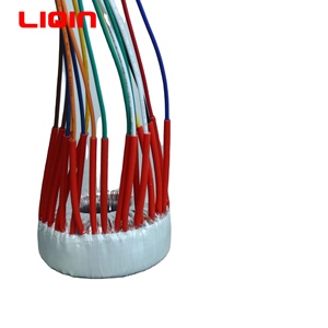 トロイダルコア50W-5000W入力220V出力12V13V14V電圧変換器用電源トランス - Product Image 4