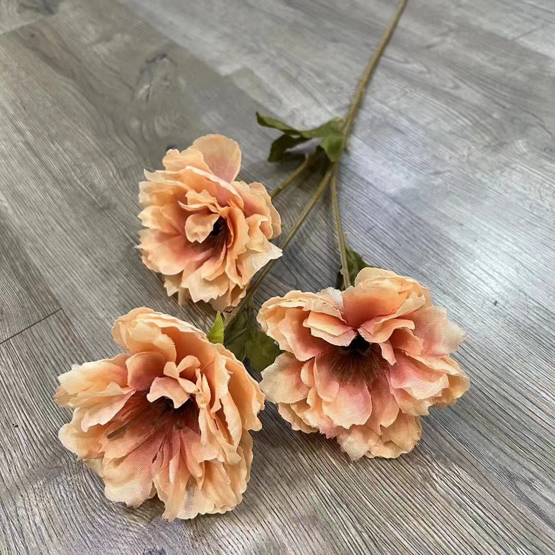 3 têtes de pivoine de beauté, poudre champagne