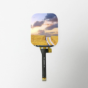 2.0 inch 240*296 high brightness <strong>IPS</strong> custom <strong>tft</strong> <strong>lcd</strong> panel screen <strong>display</strong> <strong>module</strong> - Product Image 6