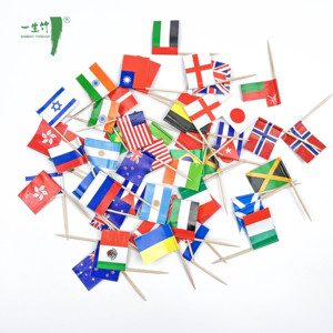 Tùy Chỉnh Dùng Một Lần Mini USA Cờ Răng Picks Thân Thiện Với Môi Tre Mini Lebanon Tăm Cờ Với Nước Cờ Thiết Kế Cho Các Bên - Product Image 2