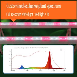 120W Fill Light Waterproof Spectrum Light <strong>LED</strong> Inter-plant Light For Greenhouse - Product Image 2