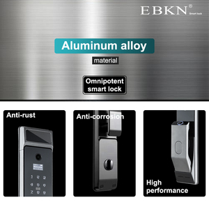 EBKN Tuya Wifi telecomando serratura porta con la macchina fotografica campanello Push Pull volto biometrico riconoscimento vena del palmo serratura intelligente - Product Image 5
