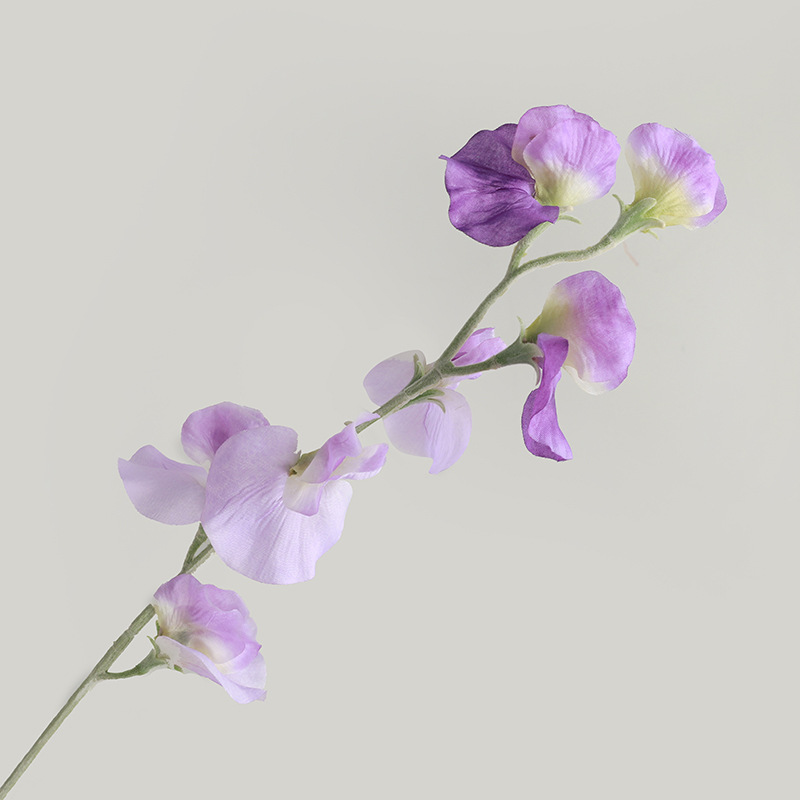 #5 pea blossom