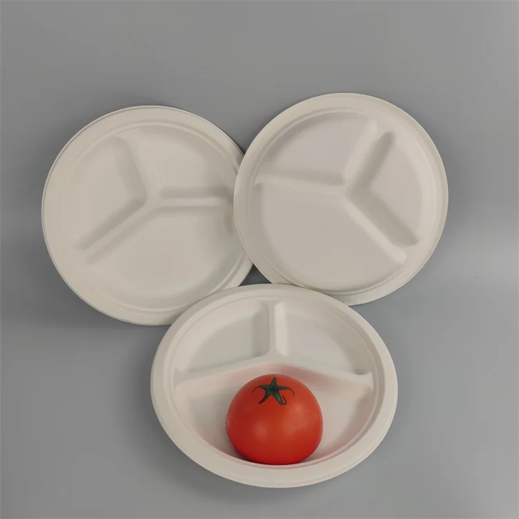 disposable white bagasse plate