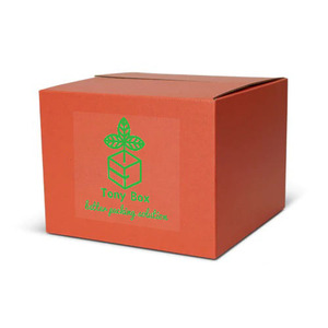 FSC 3 kat 5 kat RSC karton kutu çift duvar oluklu karton ağır nakliye teslimat kutuları - Product Image 3
