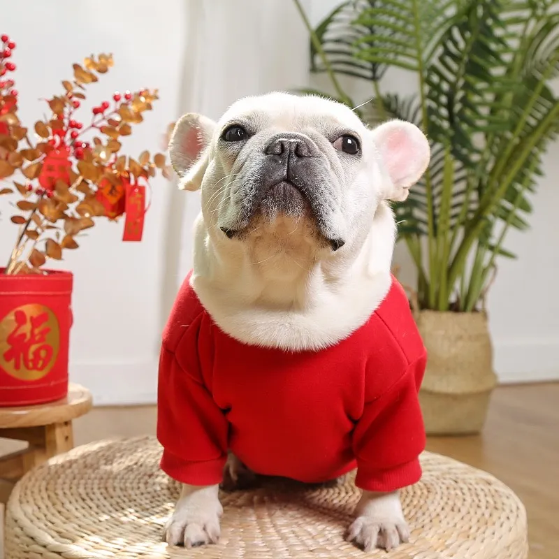 Printemps été chinois nouvel an chemise traditionnelle automne hiver imprimé chien