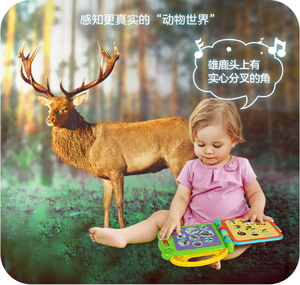 Educational Toys My First Leaning Book Touch &amp; Teach Word Book Musical Rhymes Book <strong>Learn</strong> to <strong>Read</strong> for Kids - Product Image 2