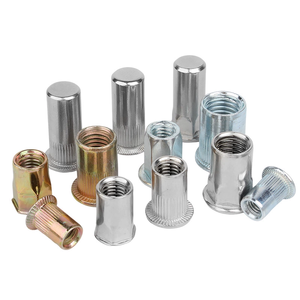 M3 M4 M5 <strong>M6</strong> M8 M10 M12 Flat Head Threaded <strong>Rivet</strong> <strong>Nut</strong> Reduce Hex Hexagonal Head <strong>Closed</strong> <strong>End</strong> <strong>Rivet</strong> <strong>Nuts</strong> Insert Rivnut Nutsert 3/8