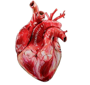 Perawatan EECP efektivitas pada beban gejala, kecemasan jantung, kualitas hidup pada pasien dengan penyakit jantung tahan api - Product Image 1