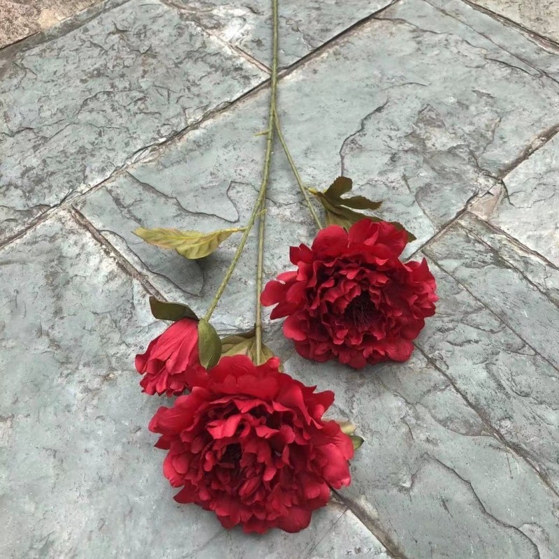 3 peonies