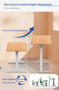 2JRF3 D3, ordenador eléctrico ergonómico de haz único, mesa de oficina, mesa ajustable, escritorio de pie de tres segmentos con motor dual - Product Image 5