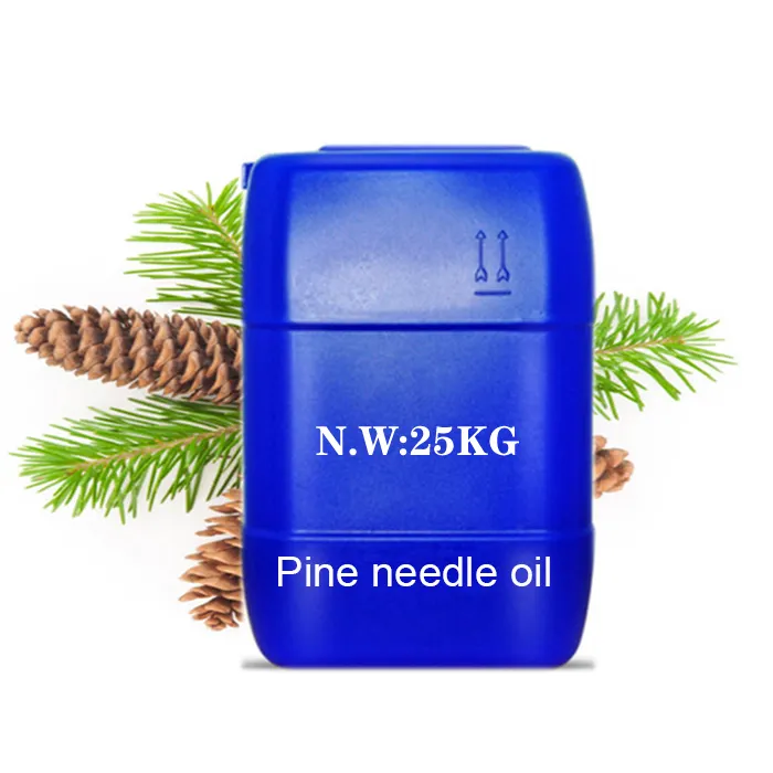 Bulk 100% pure Organic pine needle essential oil extract in fragrance and flavor