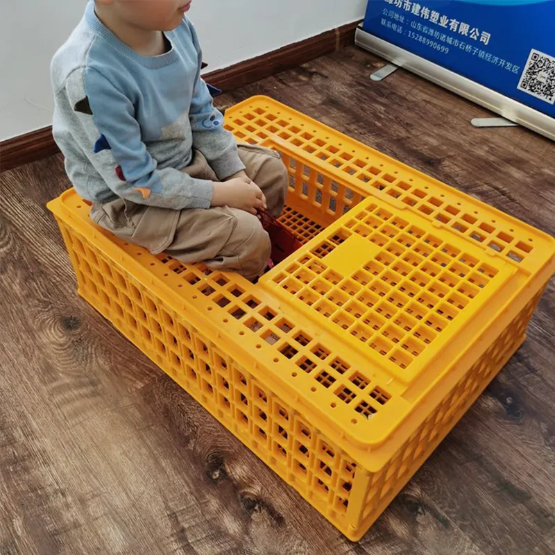 CHANGTIAN boîte à poulet industrielle pour le transport caisses à poulet boîtes de transport cage de transport de poulet portable en plastique