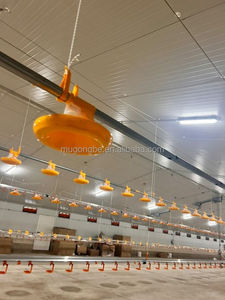 Low CostAutomatic Broiler <strong>Chicken</strong> Floor System for Sale