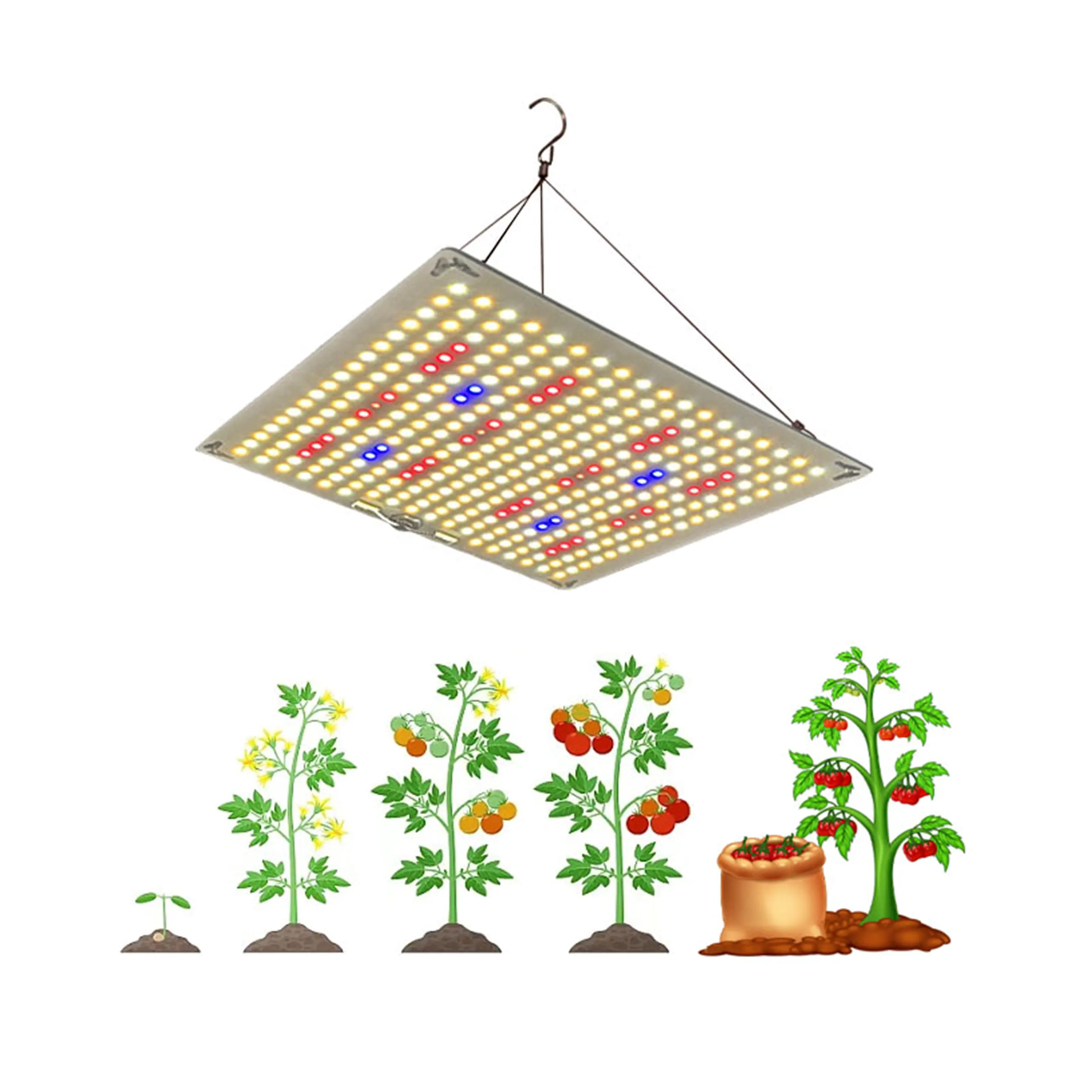 مصابيح LED بلوحة كوانتوم 100 وات مصرح بها من مصنع المعدات الأصلي لبدء فصل البذور ونمو النباتات بالبيوت الزجاجية مصباح نمو LED كامل الطيف