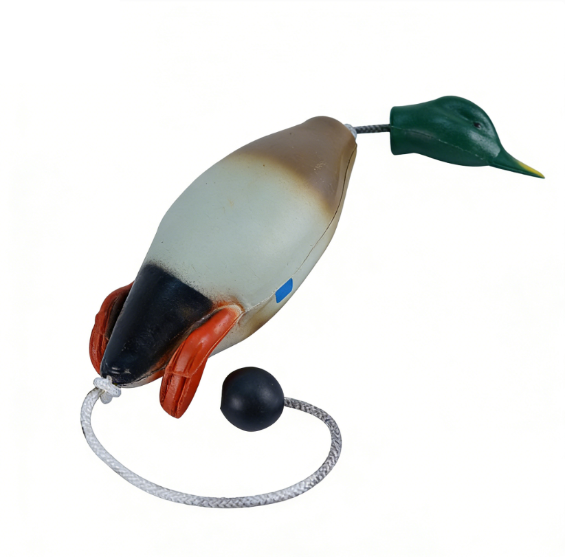 Green-headed duck with feet