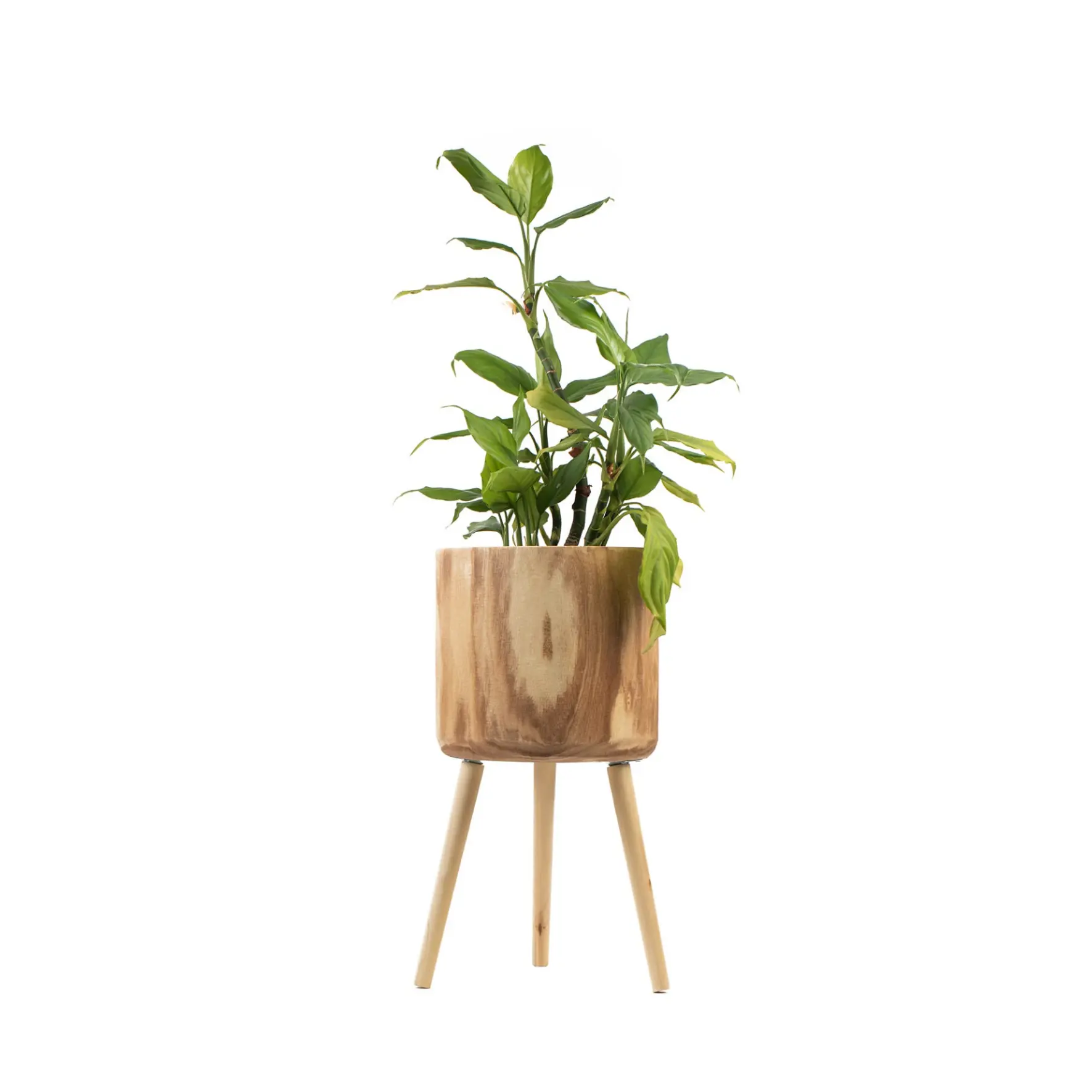 Vaso de madeira com três pernas para a família, mais popular, planta de jardim, engenharia, produção de berçário, vaso de madeira com três pernas