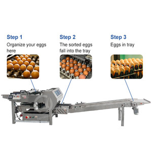 Confezionatore di uova di pollame oceanico macchina automatica per vassoio di uova di gallina macchina per smistare e imballare le uova - Product Image 2
