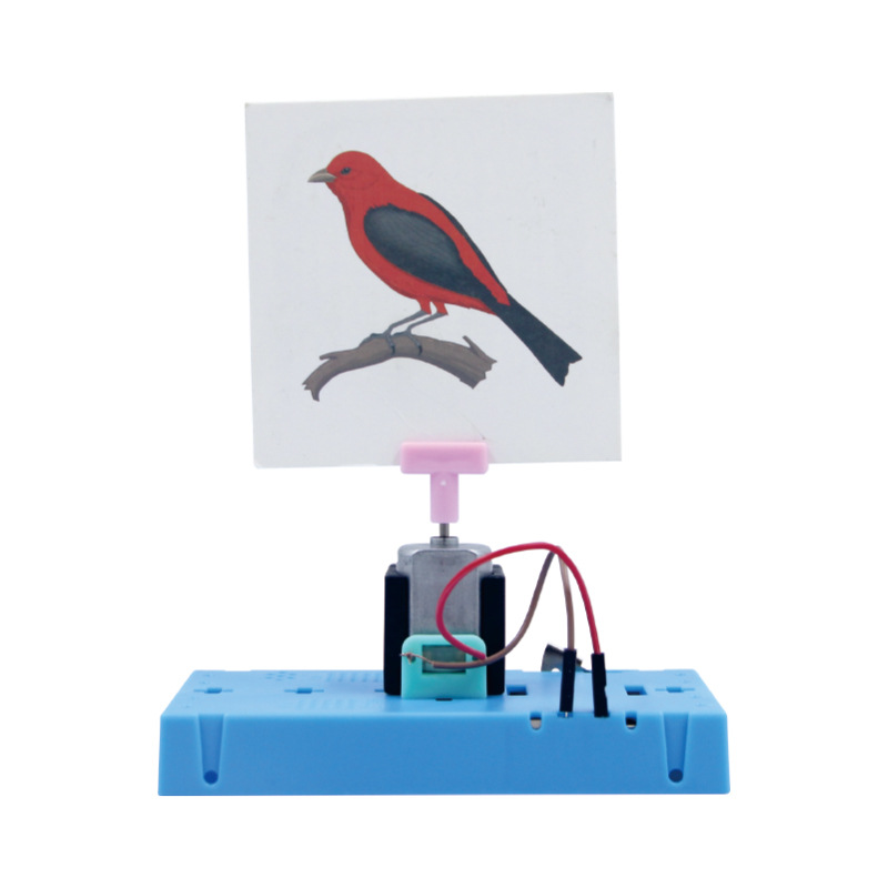Oiseau en cage
