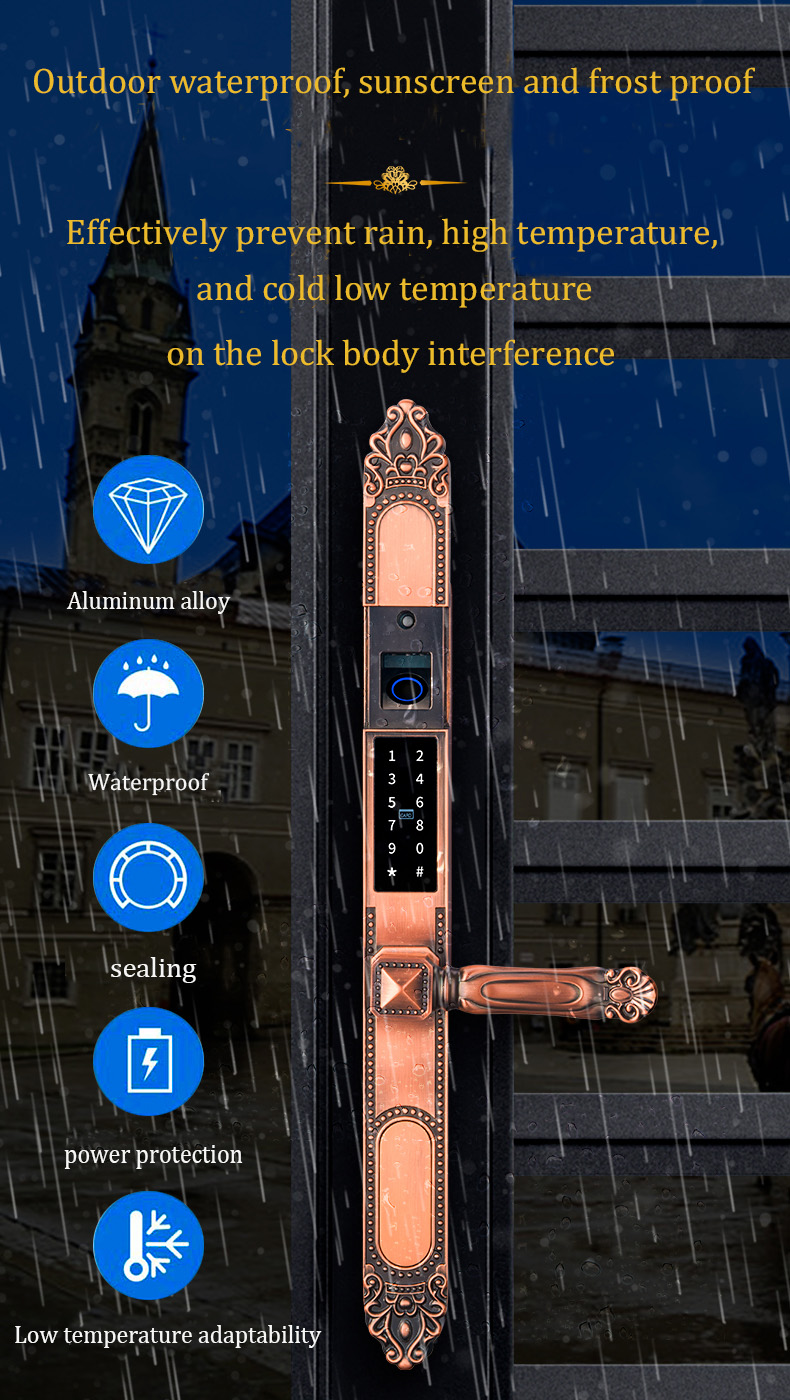 Waterproof Lock Hot Sale Doubwin S612 Smart Lock APP IC Card Password Digital Biometric Fingerprint Wifi Door Lock