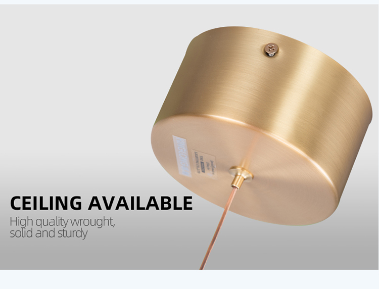 ZUN Design Brass Circle Modern Style LED Chandelier brass globe pendant Light Fixture For Hotel