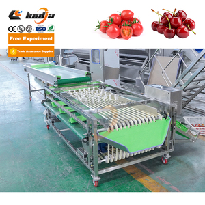 Máquina clasificadora de dátiles secos de alta eficiencia XINLONGJIA/máquina clasificadora de Frutas/máquina clasificadora de maracuyá - Product Image 3